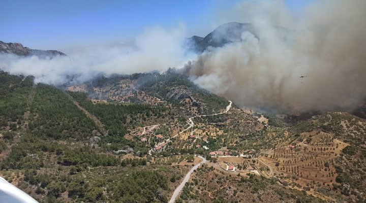 Datça’da orman yangını: 10 uçak, 16 helikopterle müdahale ediliyor
