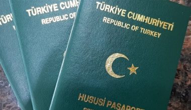 Soylu: Yerli ve milli pasaport üretimini başlattık