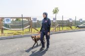 K9’LAR ZORLU BİR EĞİTİM SÜRECİNDEN GEÇİYOR