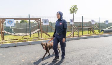 K9’LAR ZORLU BİR EĞİTİM SÜRECİNDEN GEÇİYOR