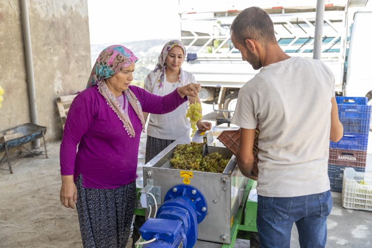 BÜYÜKŞEHİR’İN ÜZÜM SIKMA MAKİNESİ HİBESİ İLE ÜRETİCİNİN YÜZÜ GÜLÜYOR