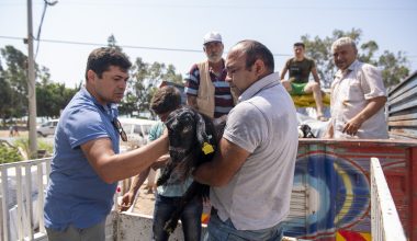 MERSİN BÜYÜKŞEHİR’İN “HADİ GEL KÖYÜMÜZE DESTEK VERELİM” PROJESİ BÜYÜYOR MERSİN BÜYÜKŞEHİR’İN “HADİ GEL KÖYÜMÜZE DESTEK VERELİM” PROJESİ BÜYÜYOR