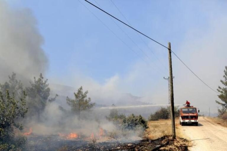 Mersin’de orman yangını sürüyor | Tedbir amaçlı kapatılan Aydıncık-Silifke yolu trafiğe açıldı