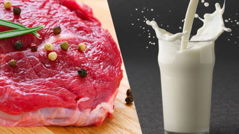 TÜSEDAD Başkanı: Ekim-kasım ayında hem ete hem süte en az yüzde 30-35 zam gelecek