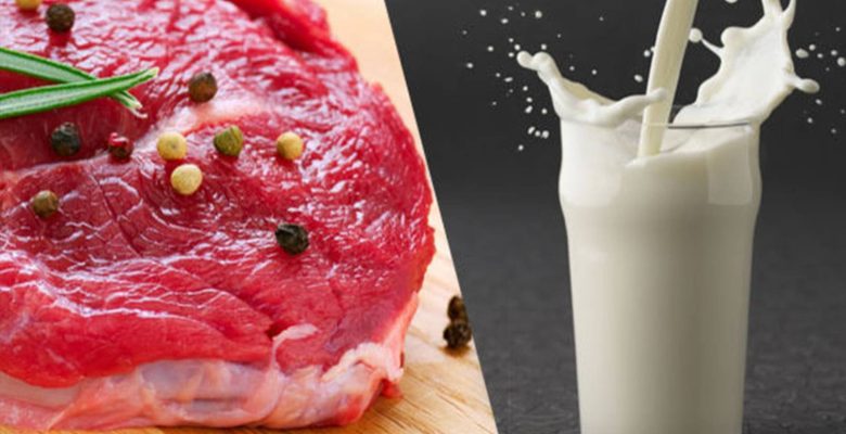TÜSEDAD Başkanı: Ekim-kasım ayında hem ete hem süte en az yüzde 30-35 zam gelecek