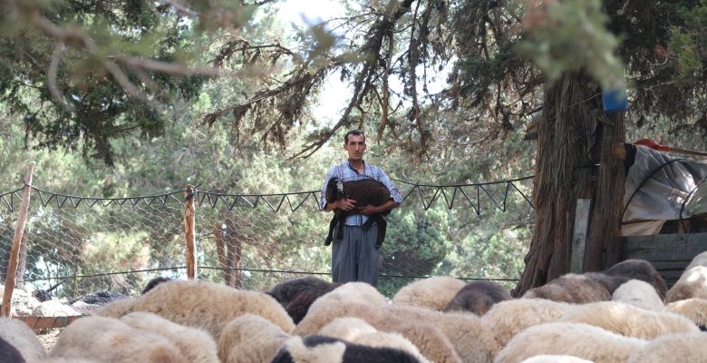 BÜYÜKŞEHİR SAYESİNDE GELECEĞE GÜVENLE BAKIYOR