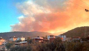 Mersin’de orman yangını: Havadan ve karadan müdahale için ekipler harekete geçti