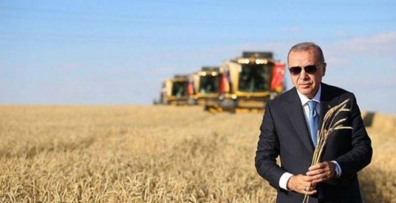 Cumhurbaşkanı Erdoğan: Ey erkek çiftçiler, neredesiniz? “Kadınlar yapıyor, bunlar kahvehanede zar atıyorlar”