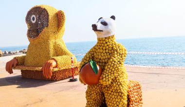 Mersin’de festival için 100 ton narenciyeden figürler hazırlanıyor