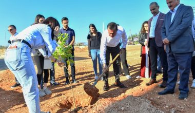 Başkan Özyiğit, “Yenişehir’de yeşil alan sayısını arttırdık”