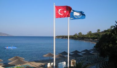 BÜYÜKŞEHİR’DEN 4 TEMSİLCİ MAVİ BAYRAK YEREL SORUMLUSU EĞİTİM SERTİFİKASI ALDI