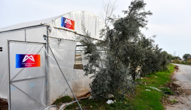 BÜYÜKŞEHİR’DEN ÖRTÜ ALTI ÜRETİCİLERİNE CAN SUYU