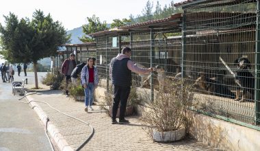 BÜYÜKŞEHİR’İN BARINAĞI HAYVANSEVERLERDEN TAM NOT ALDI