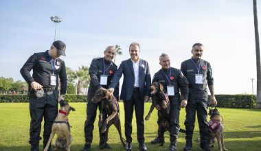 ‘KÖPEKLİ ARAMA KURTARMA ÇALIŞTAYI’ MERSİN’DE BAŞLADI ‘KÖPEKLİ ARAMA KURTARMA ÇALIŞTAYI’ MERSİN’DE BAŞLADI