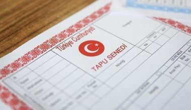 Tapuda yeni dönem: Müdahale geliyor