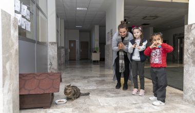 MİNİK ELA’YA ‘KEDİ EVİ’ SÜRPRİZİ