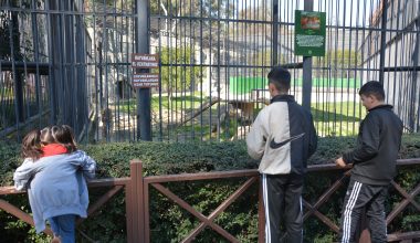 TARSUS DOĞA PARKI DEPREMZEDELERE MORAL ALANI OLDU