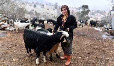 BÜYÜKŞEHİR BELEDİYESİ İLE HAYATA UMUTLA BAKIYORLAR