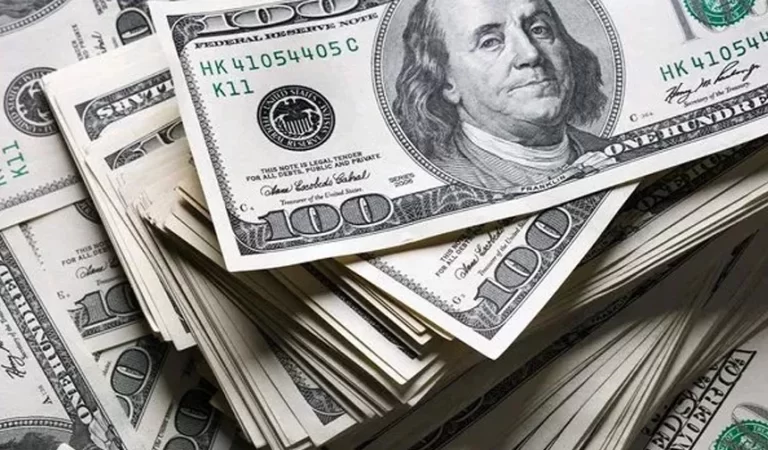 Dolar ve Euro güne rekorla başladı
