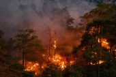 Manisa ve Antalya’daki orman yangınlarında havadan ve karadan müdahale devam ediyor