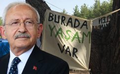 Kılıçdaroğlu ve beraberindeki heyet Akbelen’de