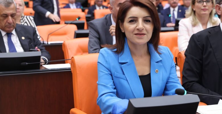 CHP’li Kış, emeklilerin feryadını TBMM’ye taşıdı