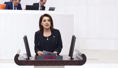 CHP’li Gülcan Kış, “Her kadın özgür, başı dik, şiddete maruz kalmadan bir yaşam hak ediyor”