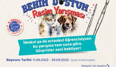 BÜYÜKŞEHİR, 4. PATİFEST’E ÖZEL RESİM YARIŞMASI DÜZENLİYOR