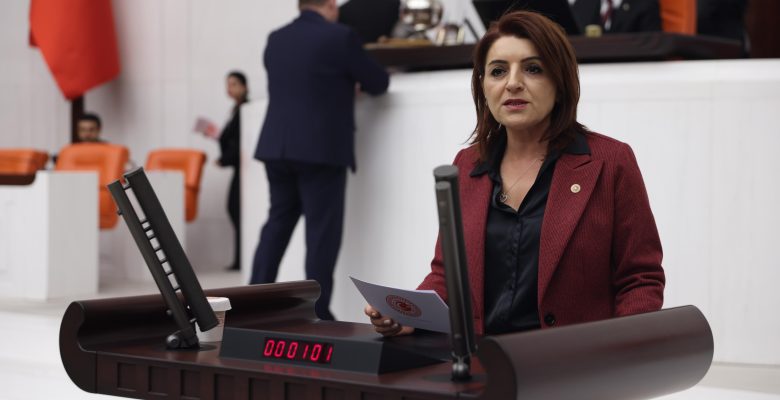 CHP Mersin Milletvekili Gülcan KIŞ: “VATANDAŞ SADECE KİRAYA ÇALIŞIYOR”