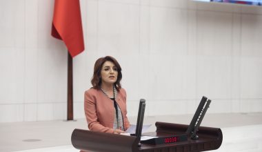 CHP’li Gülcan Kış, AKP’nin ülkenin gerçeklerinden koptuğunu söyledi