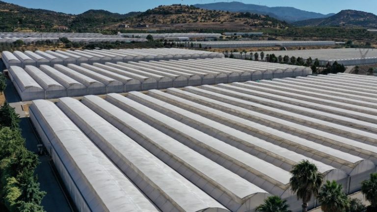 Kayıt dışı seralara düzenleme geliyor