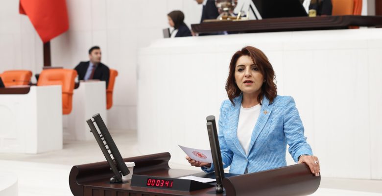 CHP  MİLLETVEKİLİ KIŞ, SON 7 AYDA MEYDANA GELEN REKOR OTOBÜS KAZALARINI TBMM’YE TAŞIDI