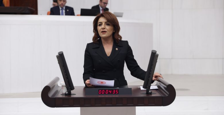 CHP Mersin Milletvekili Gülcan Kış “BU MİLLET AFFETMEYECEK”