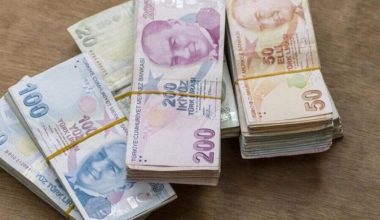 Hazine, 11,1 milyar lira borçlandı