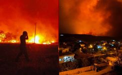 Mardin Mazıdağı ile Diyarbakır Çınar’daki yangın kontrol altına alındı: İkisi çoban 5 kişi öldü, 10’u ağır 44 kişi yaralandı