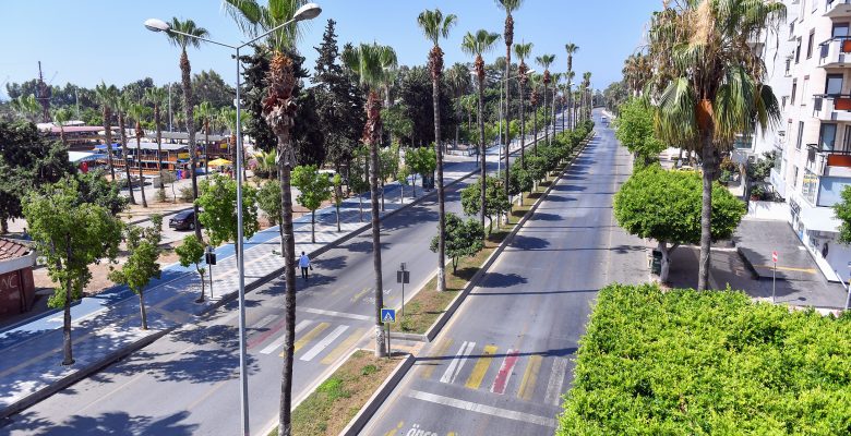 BÜYÜKŞEHİR EKİPLERİ, PALMİYE AĞAÇLARINDA BUDAMA ÇALIŞMALARINA HIZ VERDİ