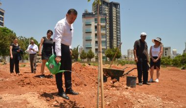 Yenişehir Belediyesi Madımak’ta yaşamını yitirenler için anıt park yapacak