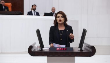 Gülcan Kış”Aydıncık yat limanı projesinin durdurulmasını istedi”