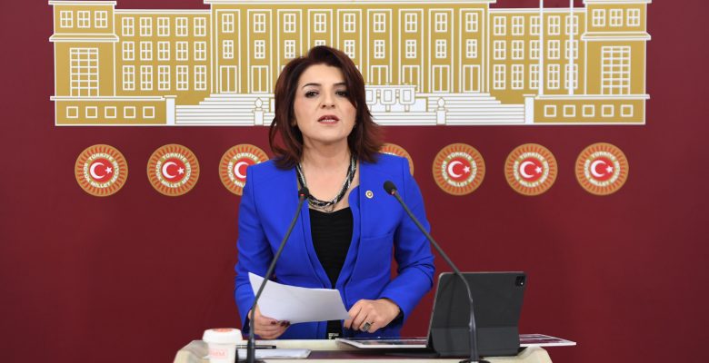 CHP’li Gülcan Kış’tan Sert Uyarı: “AKP’nin Sit Alanlarını İmara Açmasına Burada İzin Vermeyeceğiz!