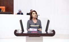 GÜLCAN KIŞ: “BAKANLIĞIN AÇIKLADIĞI RAKAMLAR YOKSULLUĞUN İTİRAFIDIR”