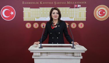 CHP MERSİN MİLLETVEKİLİ GÜLCAN KIŞ: “Turizmde Derinleşen Kriz:  Sektör Zor Durumda”