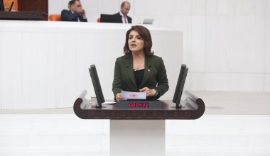 CHP’li Gülcan Kış: MEB’de Krizler Bitmiyor! 