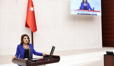 Gülcan Kış’tan Yenidoğan Çetesi Skandalına İlişkin: Sağlık Bakanı Derhal İstifa Etmelidir!