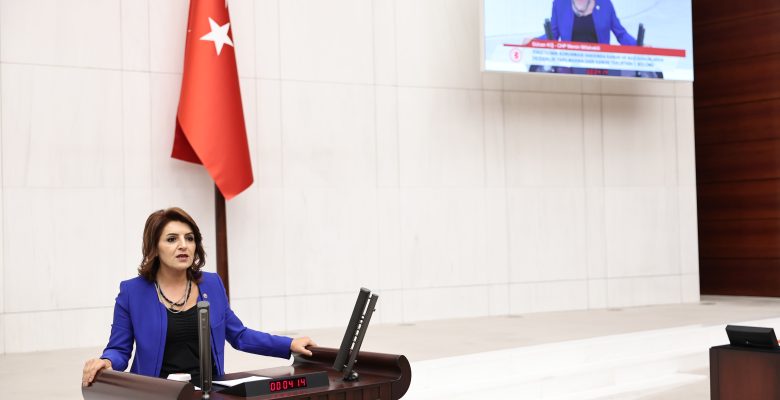 Gülcan Kış’tan Yenidoğan Çetesi Skandalına İlişkin: Sağlık Bakanı Derhal İstifa Etmelidir!