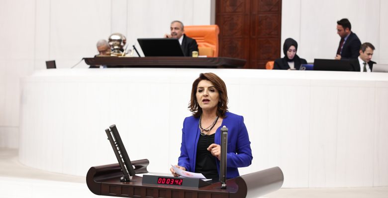 CHP Mersin Milletvekili Gülcan Kış:  “Çocuklarımız eğitimle değil, iş cinayetleriyle anılıyor!  MESEM çocuk işçiliğini meşrulaştırıyor!”