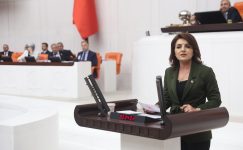 CHP Mersin Milletvekili Gülcan Kış: “Balık Çiftlikleri Ekosisteme ve Turizme Zarar Verecek”