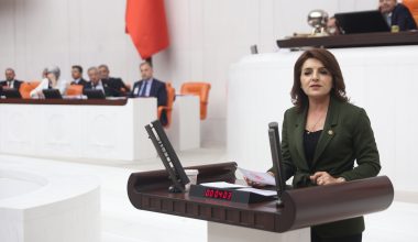 CHP Mersin Milletvekili Gülcan Kış: “Balık Çiftlikleri Ekosisteme ve Turizme Zarar Verecek”