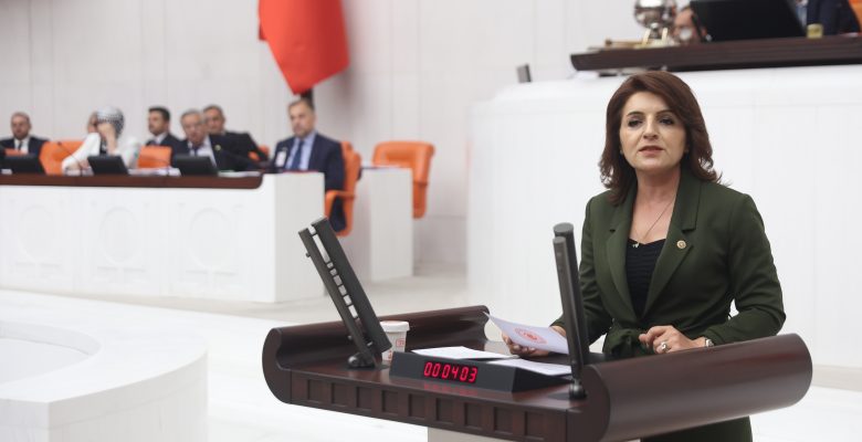 CHP Mersin Milletvekili Gülcan Kış: “Balık Çiftlikleri Ekosisteme ve Turizme Zarar Verecek”