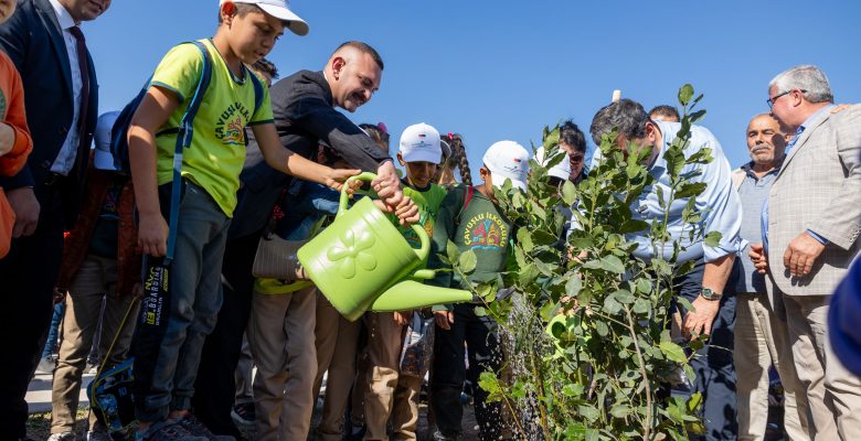 30 DÖNÜMLÜK KORULUĞU, DEFNE AĞAÇLARI KAPLAYACAK