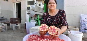 MERSİN BÜYÜKŞEHİR’DEN BİR İLK: NAR TANELEME MAKİNESİ